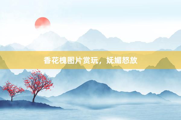 香花槐图片赏玩，妩媚怒放