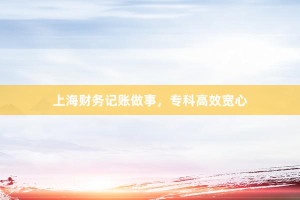 上海财务记账做事，专科高效宽心